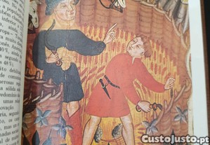 imagem_4