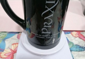 imagem_6
