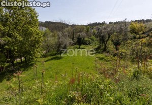 Terreno Com 1100M2 Em Arganil