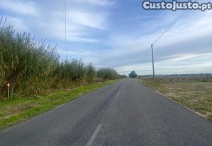 imagem_1