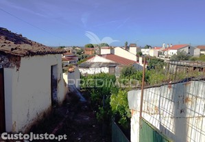 imagem_8