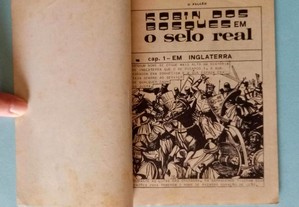 imagem_3