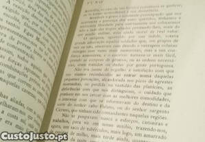 imagem_7