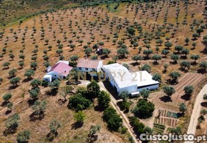 Quinta 54ha, Escalos de Baixo, Castelo Branco