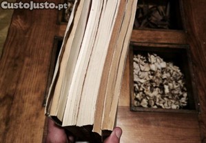 imagem_3