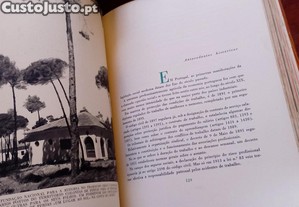 imagem_7