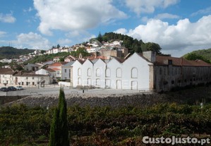 imagem_15