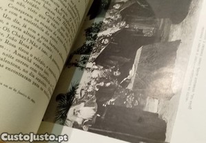imagem_11