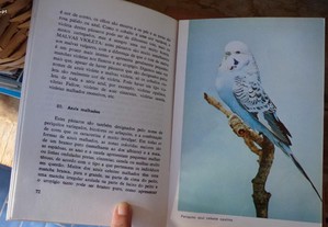 imagem_5