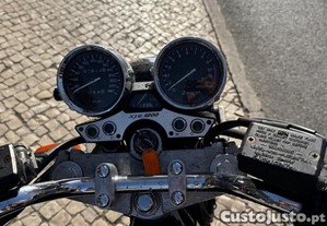 imagem_11