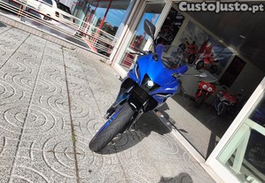 imagem_13