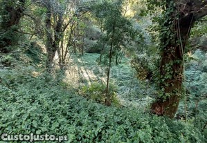 Terreno Rustico Com 1490M2, Em Gondomar, Porto