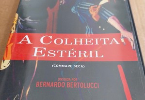 DVD "A colheita estéril", de Bernardo Bertolucci