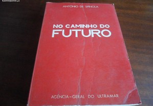 "No Caminho do Futuro" de António de Spínola