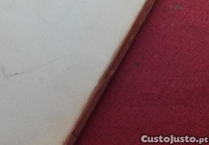 imagem_8
