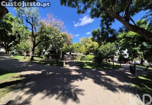 imagem_24