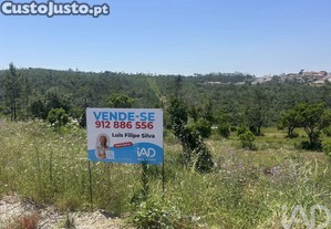 imagem_3