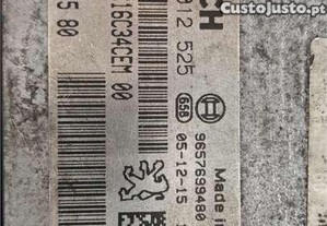 imagem_5
