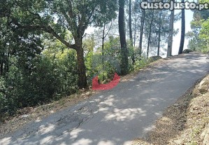 imagem_17