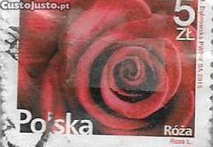imagem_5