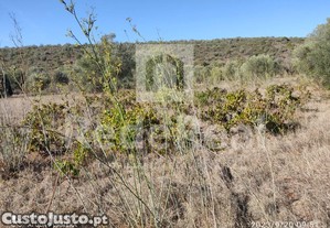 Terreno Rustico Com A rea De 12.400 M2 Situado...