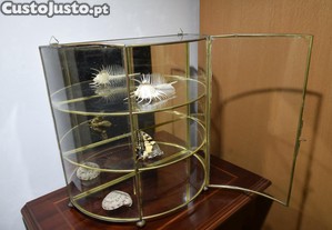 imagem_5