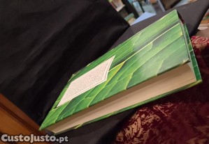 imagem_4