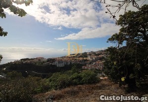 imagem_29
