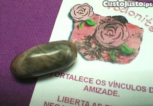 imagem_1