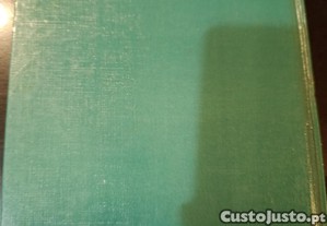 imagem_7