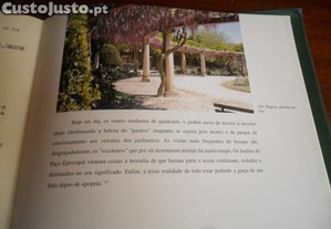 imagem_13