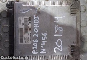 imagem_2