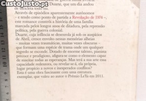 imagem_4