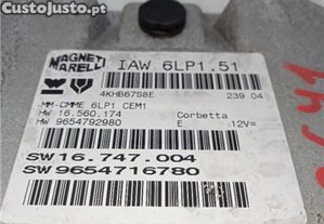 imagem_2