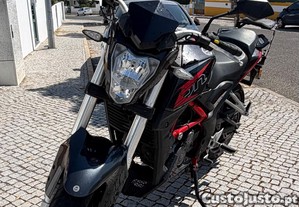 imagem_11