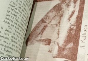 imagem_7