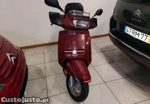 imagem_2