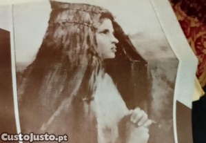 imagem_8