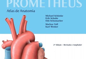 PROMETHEUS - Atlas de Anatomia - Órgãos internos