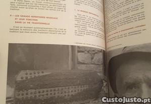 imagem_8