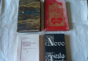 Diversos livros antigos Júlio Verne Dois anos de Férias 1888-A Biblia A Natureza Tomo 1- 1877