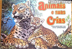 imagem_1