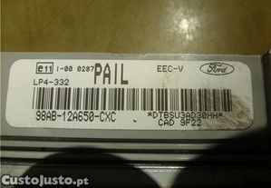 imagem_3