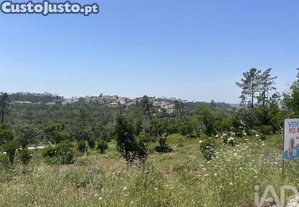imagem_7