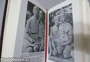 imagem_3
