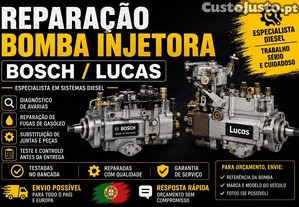 Restauro Completo de Bombas Injetoras Bosch / Lucas