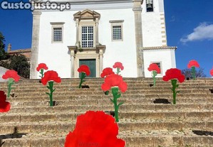 imagem_24