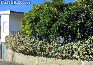 Moradia bi-familiar T3 em Oliveira do Hospital e São Paio de Gramaços de 178 m²