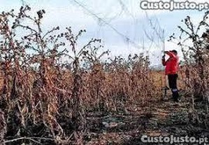 Redes para Proteo de Cultivos Resistentes ( Fio Multifilamento ) Invisveis