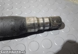 imagem_5